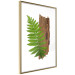 Poster Resoluteness of Nature - green plant and wooden piece on a white background 122607 additionalThumb 12