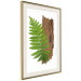 Poster Resoluteness of Nature - green plant and wooden piece on a white background 122607 additionalThumb 14