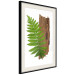 Poster Resoluteness of Nature - green plant and wooden piece on a white background 122607 additionalThumb 13