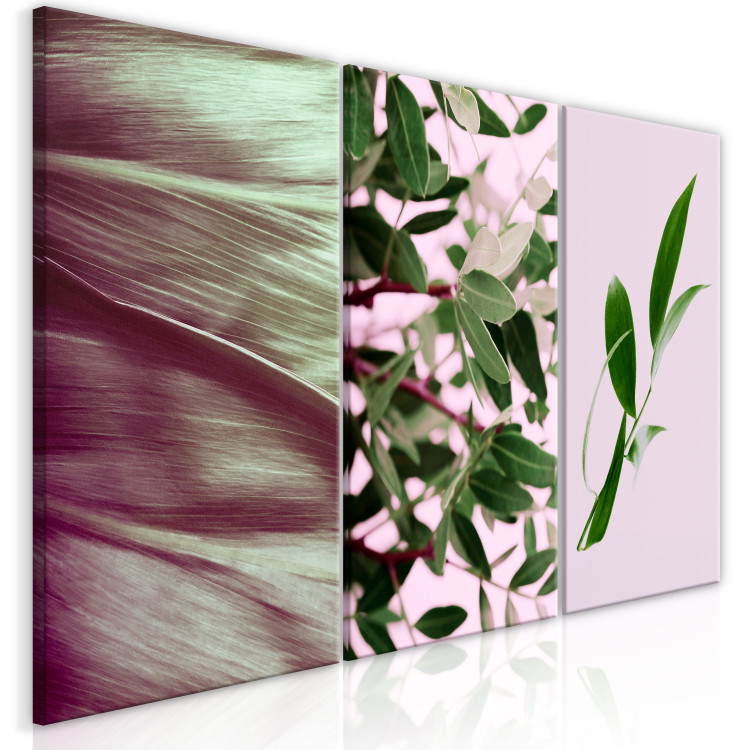 Canvas Leaves triptych - a composition consisting of various types of leaves 124407 additionalImage 2