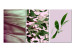 Canvas Leaves triptych - a composition consisting of various types of leaves 124407