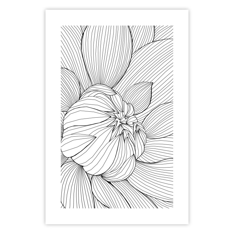 Poster Flower Line - abstract black line art of plant on white background 128407 additionalImage 25