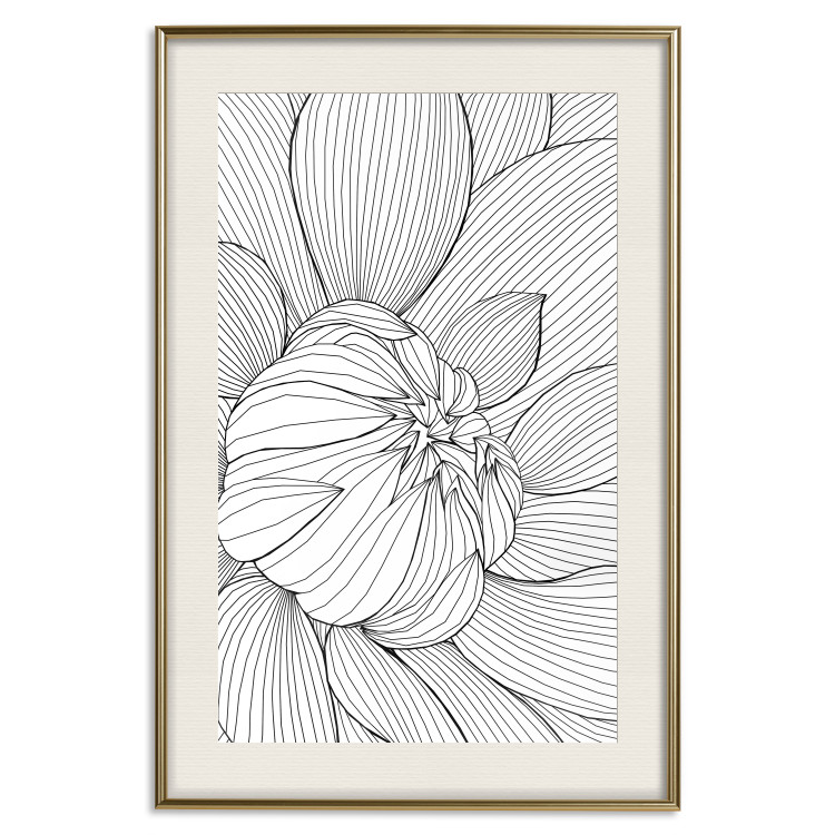 Poster Flower Line - abstract black line art of plant on white background 128407 additionalImage 20