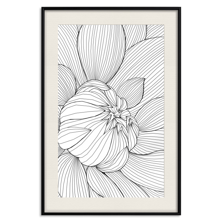 Poster Flower Line - abstract black line art of plant on white background 128407 additionalImage 19