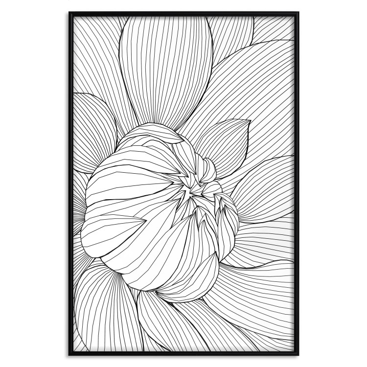 Poster Flower Line - abstract black line art of plant on white background 128407 additionalImage 18