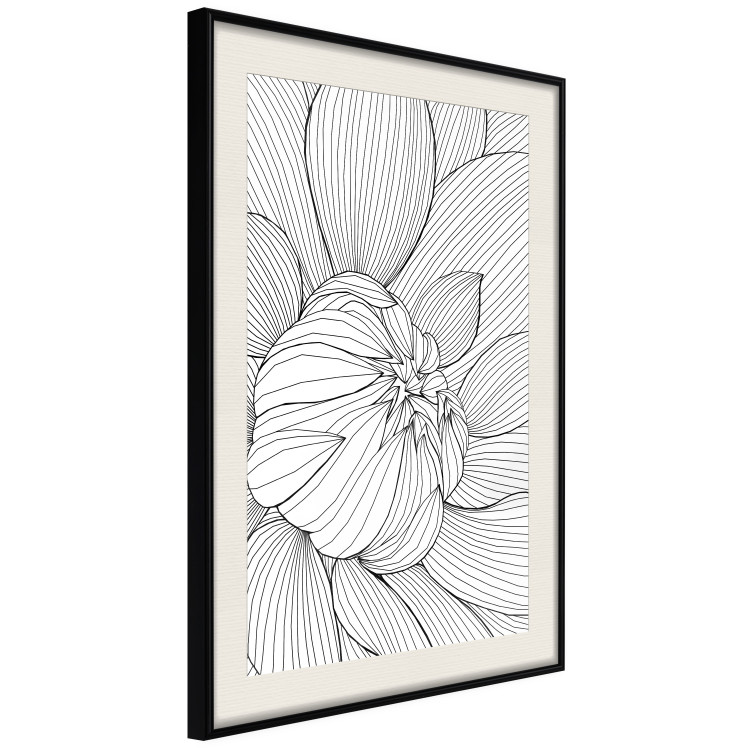 Poster Flower Line - abstract black line art of plant on white background 128407 additionalImage 2