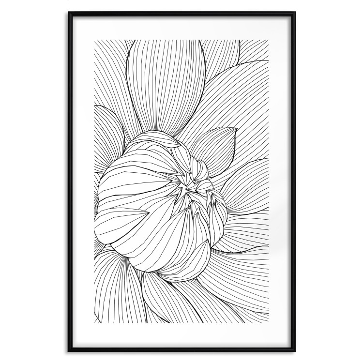Poster Flower Line - abstract black line art of plant on white background 128407 additionalImage 17