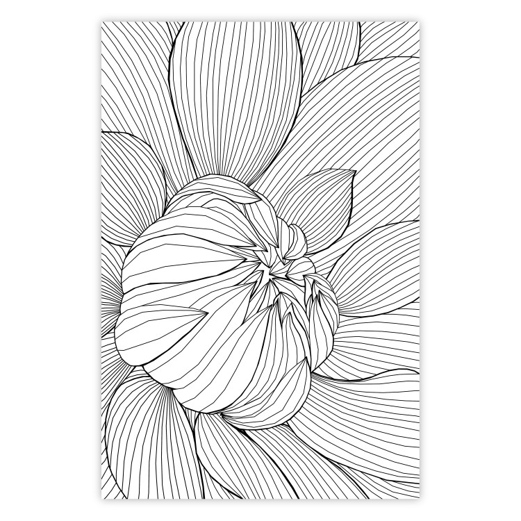 Poster Flower Line - abstract black line art of plant on white background 128407