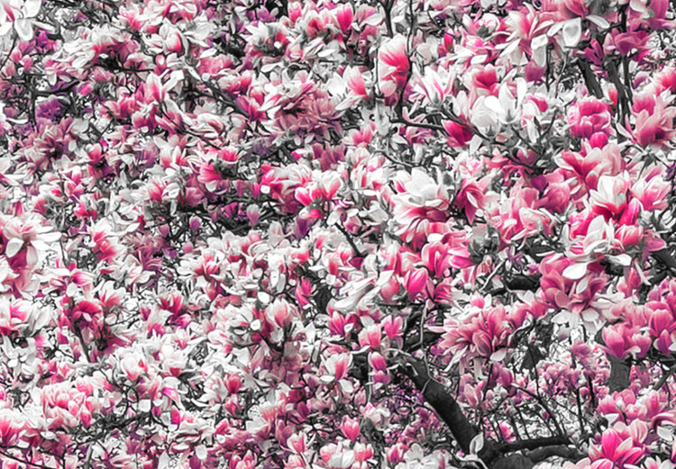 Large canvas print Magnolia Park - Pink II [Large Format] 128607 additionalImage 5