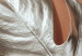 Poster Sunny Keepsake - silver monstera leaf on a uniform light background 129507 additionalThumb 5