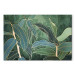 Canvas Print Expressive Leaves (1-piece) Wide - landscape of exotic leaves 137307 additionalThumb 7