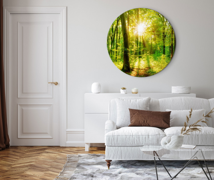 Round Canvas Sunny Trees - A Photo of the Forest Illuminated by the Rays of the Morning 148607 additionalImage 2