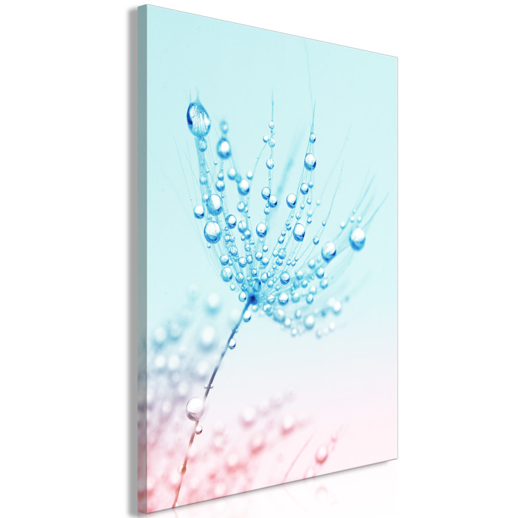 Canvas Art Print Dandelion - Plant in Blue Colors With Dew Drops 149807 additionalImage 2