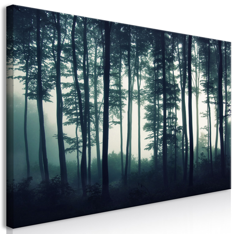 Large canvas print Forest in the Mist II [Large Format] 150807 additionalImage 3