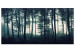 Large canvas print Forest in the Mist II [Large Format] 150807