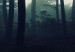 Large canvas print Forest in the Mist II [Large Format] 150807 additionalThumb 4