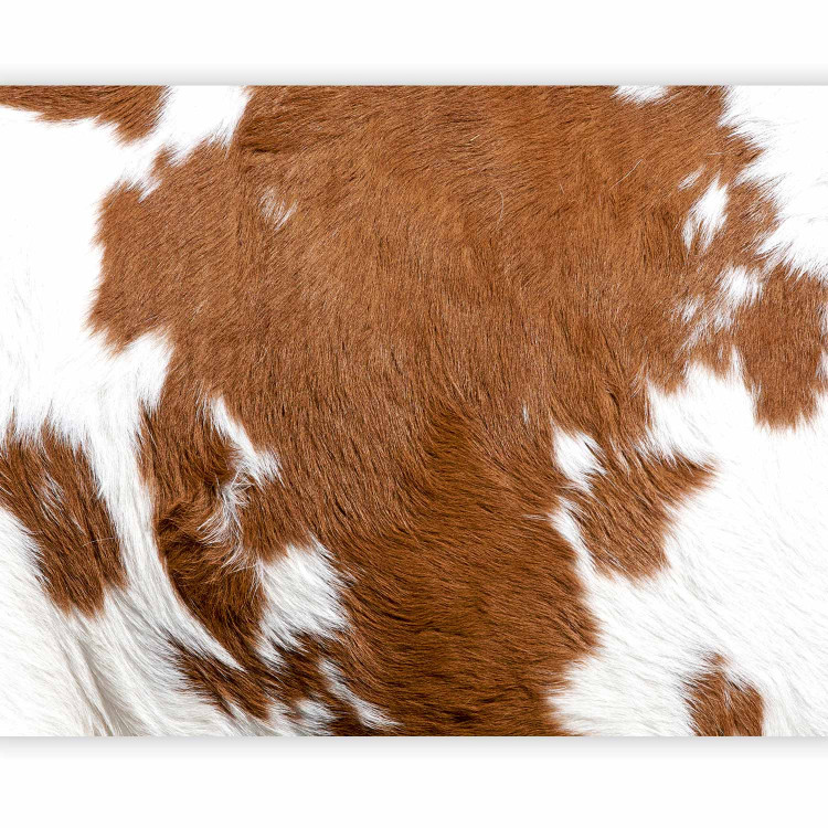 Wall Mural Cowhide 61007 additionalImage 5