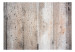 Wall Mural Old Concrete 64707 additionalThumb 1