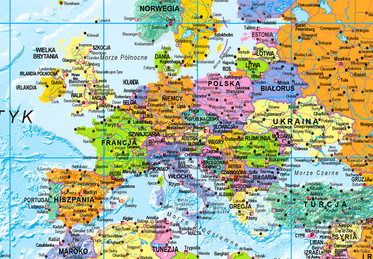 Decorative Pinboard World Map: Orbis Terrarum [Cork Map - Polish Text] 106517 additionalImage 6