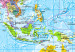 Decorative Pinboard World Map: Orbis Terrarum [Cork Map - Polish Text] 106517 additionalThumb 7
