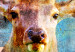 Poster Deer on Wood - abstraction with a forest animal and texts in the background 114417 additionalThumb 9