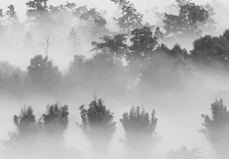 Wall Poster Dense fog - black and white landscape overlooking misty treetops 114917 additionalImage 11