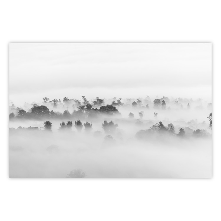 Wall Poster Dense fog - black and white landscape overlooking misty treetops 114917