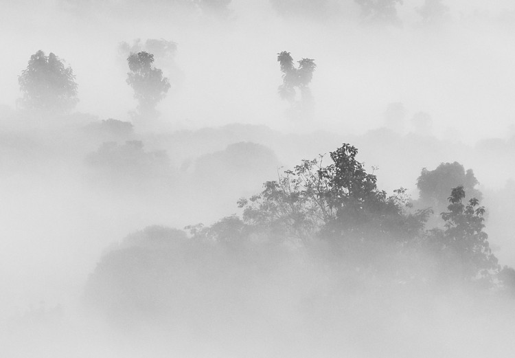 Wall Poster Dense fog - black and white landscape overlooking misty treetops 114917 additionalImage 10