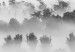Wall Poster Dense fog - black and white landscape overlooking misty treetops 114917 additionalThumb 11