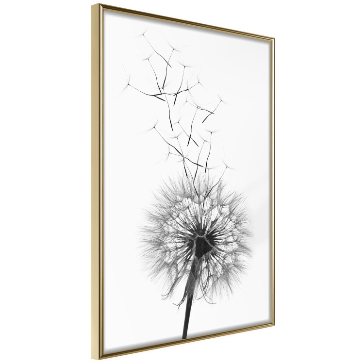 Wall Poster Dandelion - black and white composition with delicate flower in the wind 117117 additionalImage 12