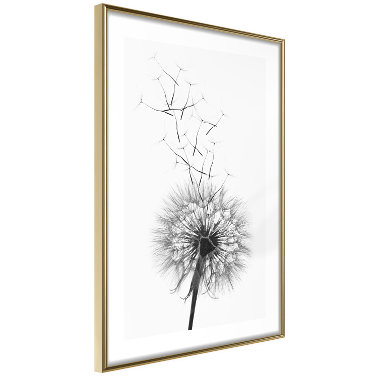 Wall Poster Dandelion - black and white composition with delicate flower in the wind 117117 additionalImage 6