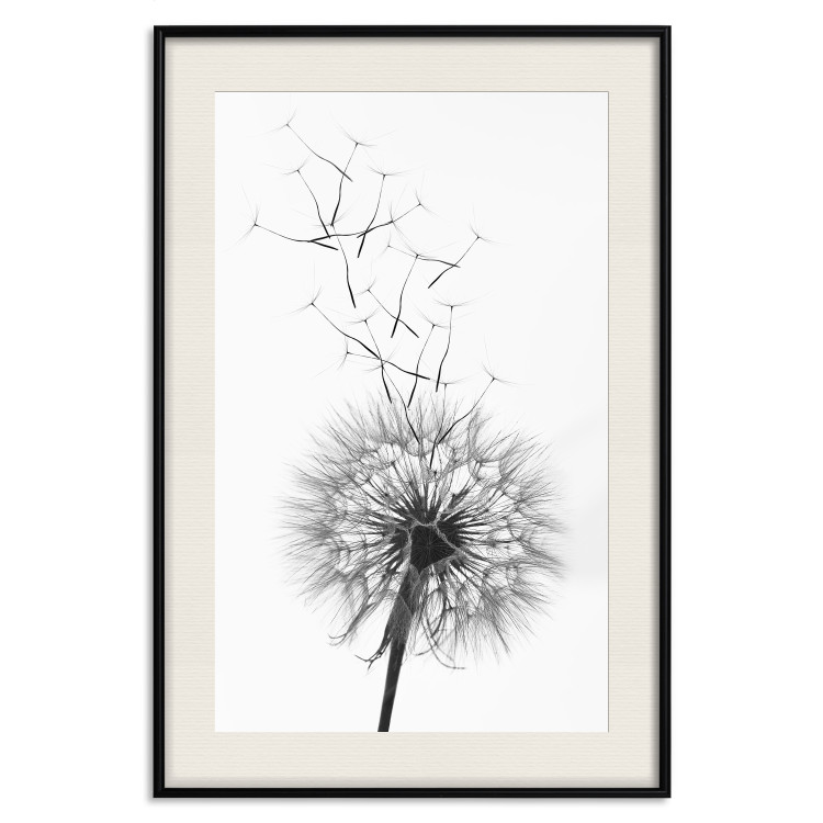 Wall Poster Dandelion - black and white composition with delicate flower in the wind 117117 additionalImage 18