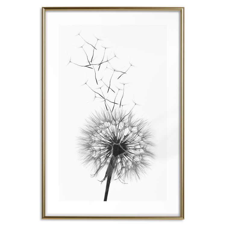Wall Poster Dandelion - black and white composition with delicate flower in the wind 117117 additionalImage 14