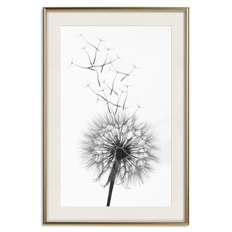 Wall Poster Dandelion - black and white composition with delicate flower in the wind 117117 additionalImage 19