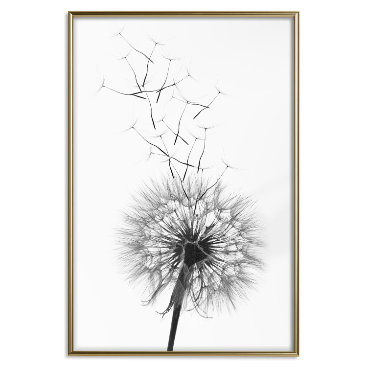 Wall Poster Dandelion - black and white composition with delicate flower in the wind 117117 additionalImage 16