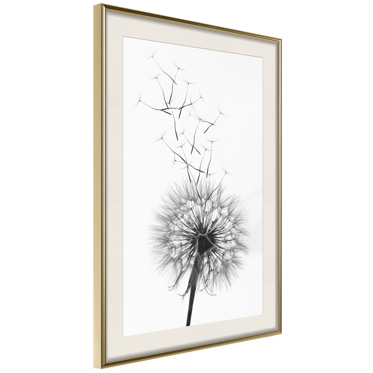 Wall Poster Dandelion - black and white composition with delicate flower in the wind 117117 additionalImage 2