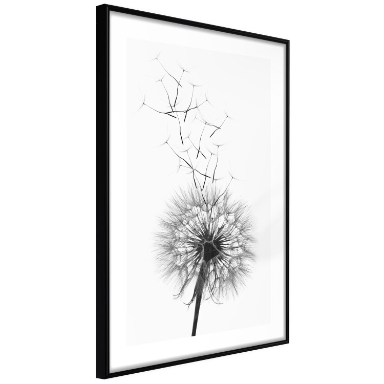Wall Poster Dandelion - black and white composition with delicate flower in the wind 117117 additionalImage 11