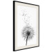 Wall Poster Dandelion - black and white composition with delicate flower in the wind 117117 additionalThumb 3