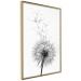 Wall Poster Dandelion - black and white composition with delicate flower in the wind 117117 additionalThumb 14