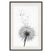Wall Poster Dandelion - black and white composition with delicate flower in the wind 117117 additionalThumb 18