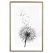 Wall Poster Dandelion - black and white composition with delicate flower in the wind 117117 additionalThumb 16