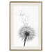 Wall Poster Dandelion - black and white composition with delicate flower in the wind 117117 additionalThumb 19