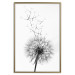 Wall Poster Dandelion - black and white composition with delicate flower in the wind 117117 additionalThumb 16