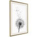 Wall Poster Dandelion - black and white composition with delicate flower in the wind 117117 additionalThumb 2