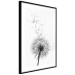 Wall Poster Dandelion - black and white composition with delicate flower in the wind 117117 additionalThumb 11