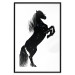 Poster Black Horse - black and white composition with the silhouette of a standing animal 118917 additionalThumb 15