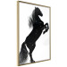 Poster Black Horse - black and white composition with the silhouette of a standing animal 118917 additionalThumb 12