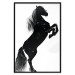 Poster Black Horse - black and white composition with the silhouette of a standing animal 118917 additionalThumb 18