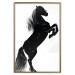 Poster Black Horse - black and white composition with the silhouette of a standing animal 118917 additionalThumb 16