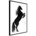 Poster Black Horse - black and white composition with the silhouette of a standing animal 118917 additionalThumb 11